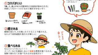 好きなもの紹介 ナガラヨリ 好きなもの紹介 ナガラヨリ
