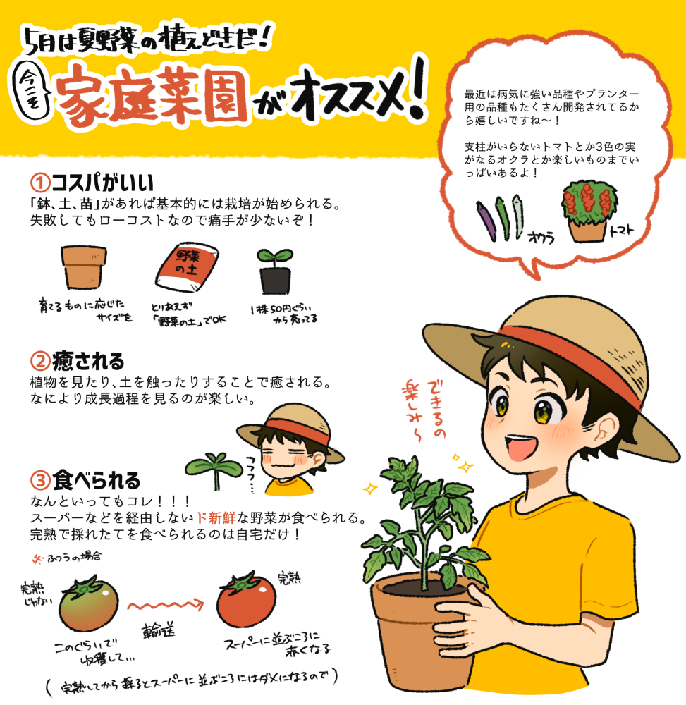 5月 夏野菜の家庭菜園スタートです ナガラヨリ