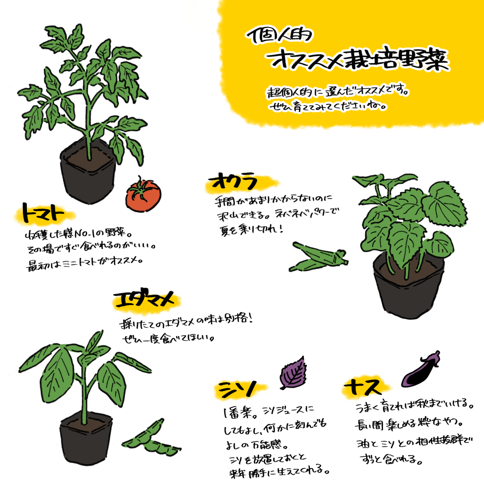 5月 夏野菜の家庭菜園スタートです ナガラヨリ 5月 夏野菜の家庭菜園スタートです ナガラヨリ