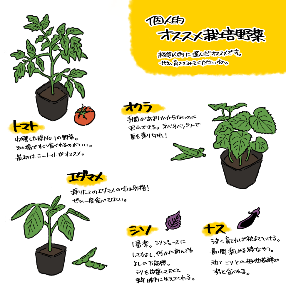 5月 夏野菜の家庭菜園スタートです ナガラヨリ